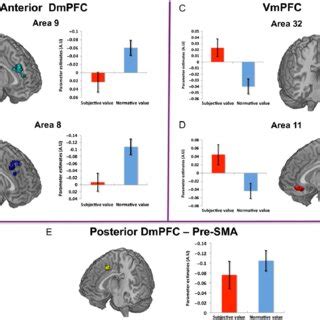 Subjective And Normative Value In MPFC Different Profiles Of Response