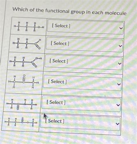 Solved Name The Functional Group In Each Molecule Aldehyde Chegg