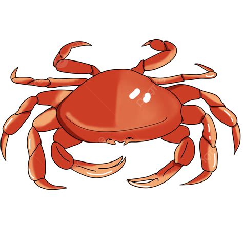 Crab Seafood Vector Map Hot Pot Cuisine Catering Elements Seafood Vector Hot Pot Crab PNG
