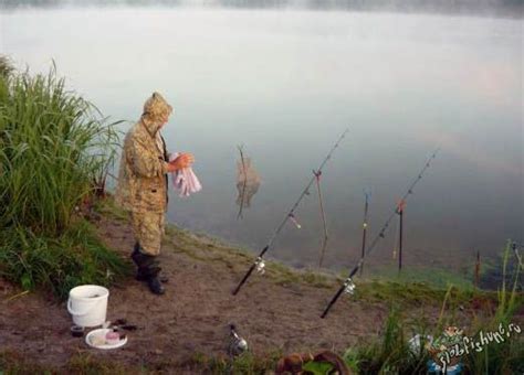 Техника ловли донной удочкой