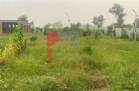 Kanal Marla Farmhouse For Sale On Bedian Road Lahore