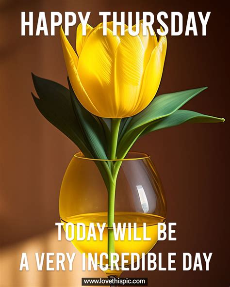 Yellow Tulip Happy Thursday Quote Pictures Photos And Images For