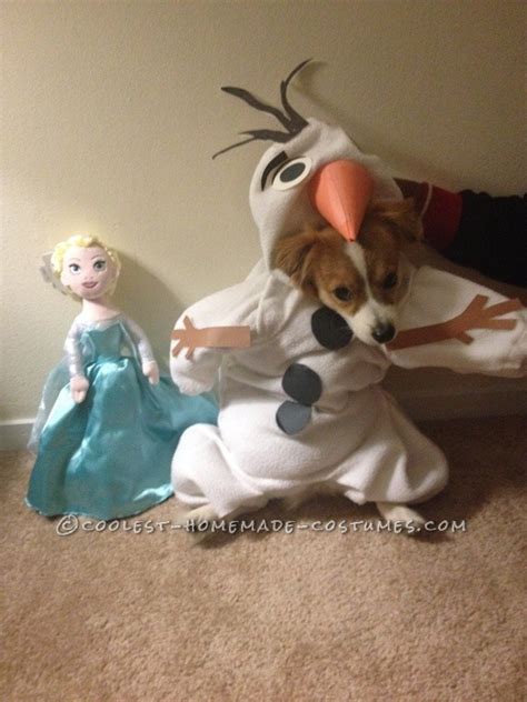 Funny Dog Costume: Mochi as Olaf from Frozen