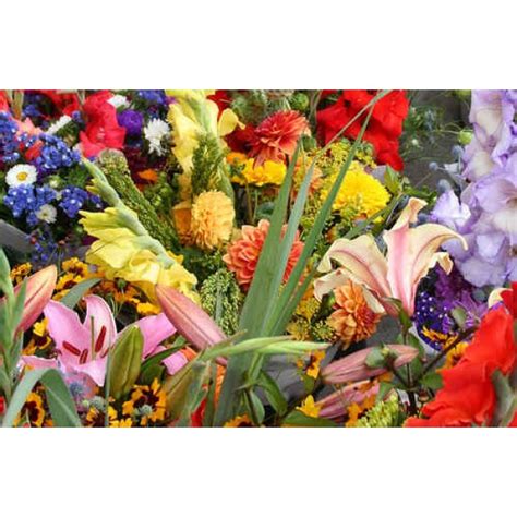 Buy Wildflower Seeds Mix : Cut Flowers