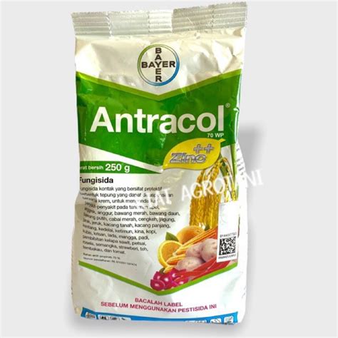 Antracol Wp Plus Zinc Fungisida Gr Gr Shopee Indonesia