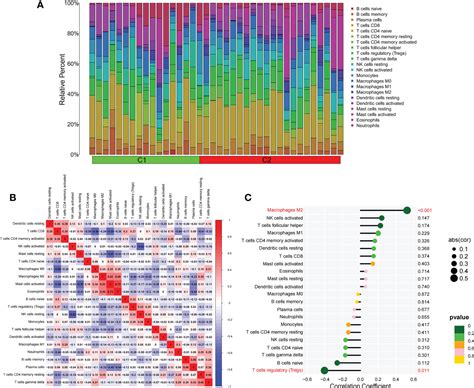 Frontiers Identification Of Pyroptosis Related Subtypes And