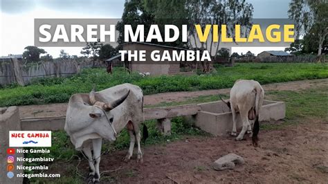 Sareh Madi Village In The Gambia Cities Towns And Villages YouTube