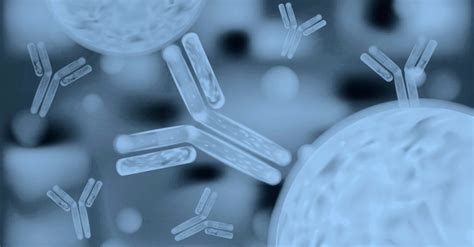 Immunogenicity Assays Pharmaron