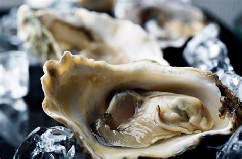 Revived Thanksgiving Tradition: Oyster Ice Cream | SDPB Radio