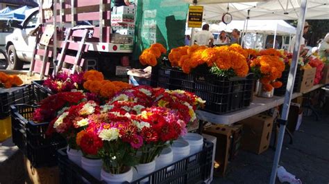 Ojai Farmers' Market | Ojai, Farmers market, Sweet home