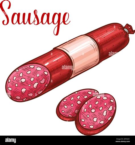 Salami Sausage With Slice Isolated Sketch Of Fresh Meat Product Salami