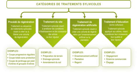 Sylviculture Et Traitements Sylvicoles