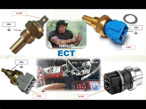 Funcionamiento Sensor Ect Sensor Temperatura Motor Simular Se Al