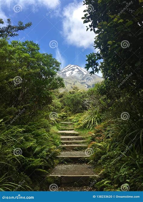 Volcano Mt. Taranaki during Midday Stock Photo - Image of nature ...