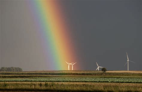 National Find a Rainbow Day | Art Sphere Inc.