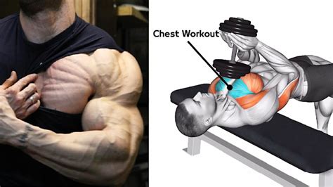 The Strongest 5 Exercises To Build Chest Muscle Growth Fitness Freak