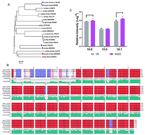 Sequence Analysis Of Sad Aradu Xm Mr A Comparative Phylogenetic