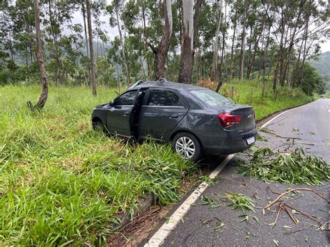 A Gazeta Carro abraça árvore em acidente e motorista fica ferido em