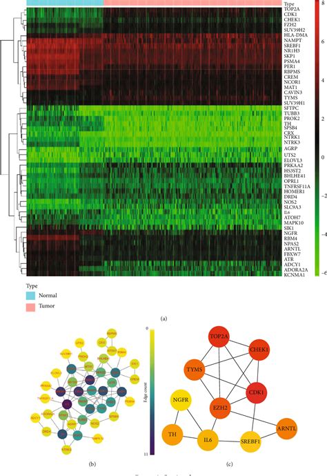 Figure 2 From Development And Validation Of A Novel Circadian Rhythm