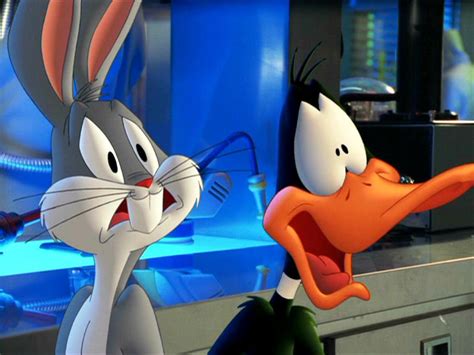 Fondos Gratis Fondos Dibujos Bugs Bunny Y El Pato Daffy