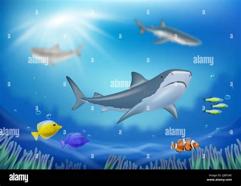 Underwater background. With fishes swimming underwater in ocean or sea ...