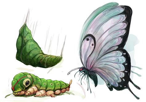 Caterpie Metapod Butterfree By Mrredbutcher On Deviantart