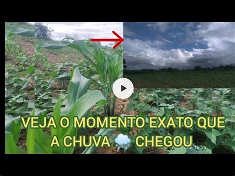 VEJA O MOMENTO EXATO DA CHEGADA DA CHUVA FINALIZEI A LIMPA DO MILHO