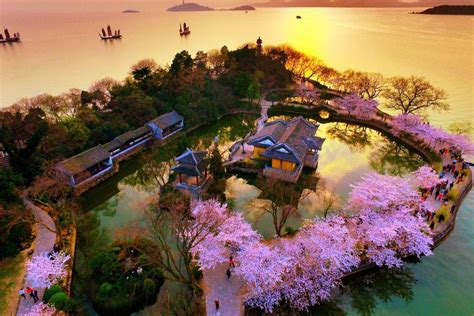 Wuxi S Cherry Blossom Season Elevated By Helicopter Tours And Global