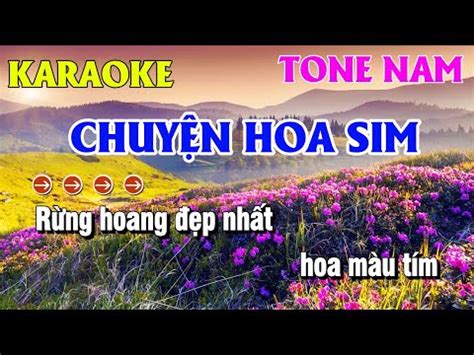 Karaoke Chuy N Hoa Sim Tone Nam Beat Thanh Duy Karaoke Th Y D Ng