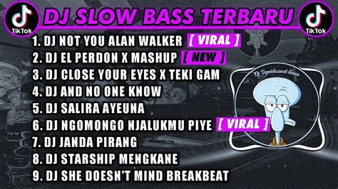 Dj Tiktok Terbaru Dj Not You Alan Walker X Dj El Perdon Mashup