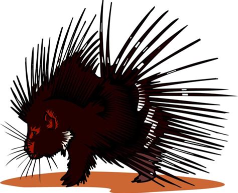 Cute Porcupine Clipart | Free download on ClipArtMag