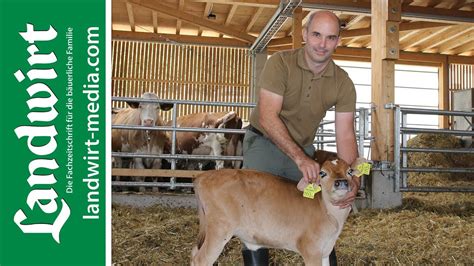 Stressfreier Umgang Mit Rindern Landwirt Media Youtube