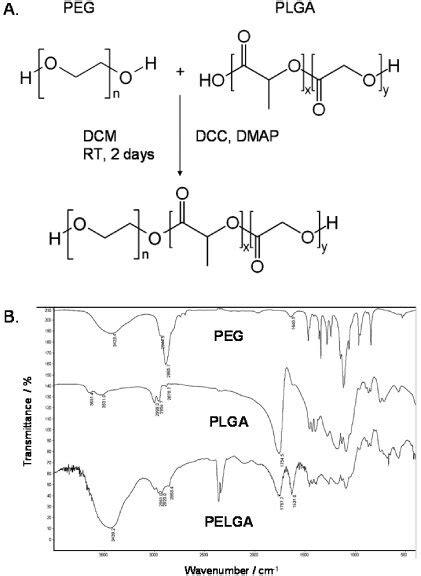 Synthesis And Characterization Of The Polydl Lactic Co Glycolic Acid