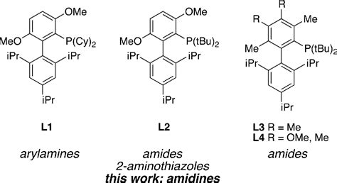 Figure From Palladium Catalyzed N Monoarylation Of Amidines And A One