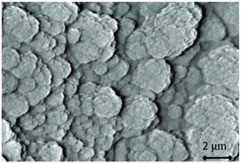 SEM Micrograph Of Tungsten Sample Surface Irradiated With Plasma In The