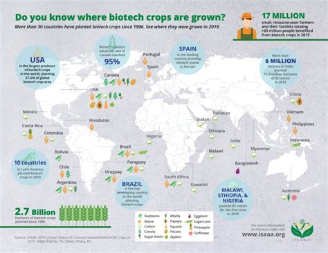 Infographic Heres Where Gm Crops Are Grown Around The World Today