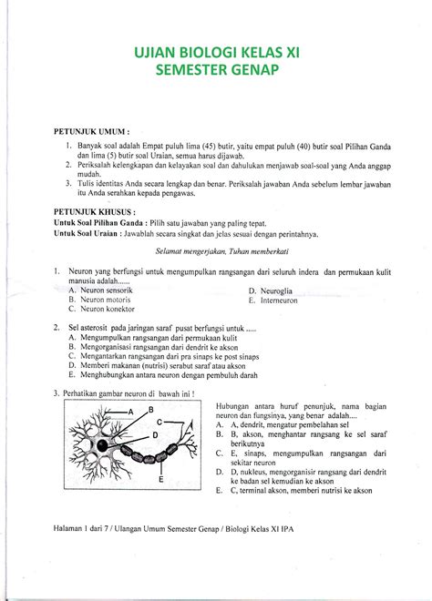 Biologi Gonzaga Ujian Biologi Kelas Xi Semester Genap