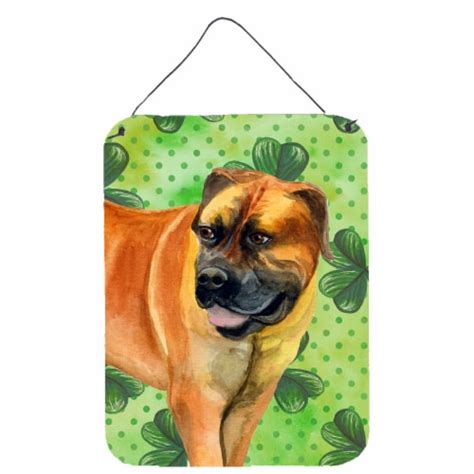 Boerboel Mastiff St Patrick S Wall Or Door Hanging Prints Green 16hx12w Kroger