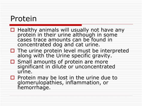 PPT - Performing the Urinalysis PowerPoint Presentation, free download - ID:1782563