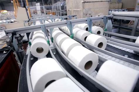 Cómo iniciar una fábrica de papel higiénico 8 pasos para ser exitoso