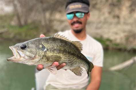 Tripadvisor Tour de pesca guiado de día completo en Canyon Lake