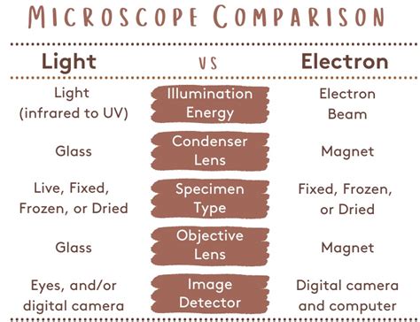Learn about microscopes