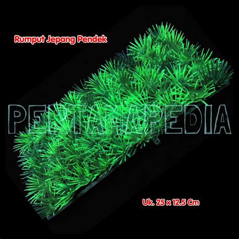 Jual Rumput Aquarium Rumput Artificial Rumput Hias Sintetis