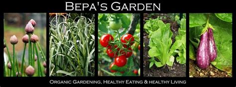 Bepa S Garden Build A Greenhouse Backyard Vegetable Gardens Simple