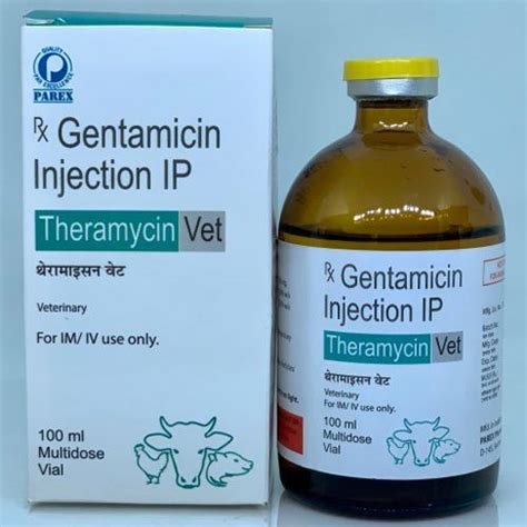 Liquid Gentamicin Injection At Best Price In Surat Gujarat Saintroy