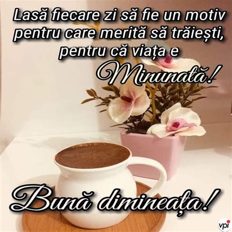 Cafea Mesaje De Buna Dimineata Haioase Mesaje Haioase De Bun