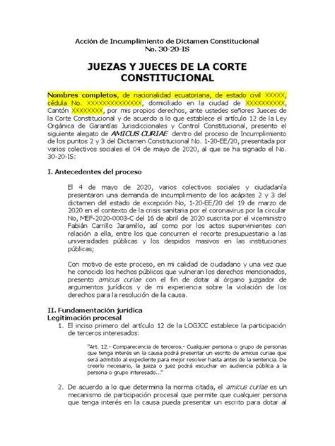 Amicus Curiae Modelo Caso 30 20 Is Pdf Amicus Curiae Ley Procesal