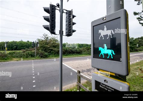 Horse rider traffic lights crossing known as a Pegasus crossing in The New Forest National Park ...