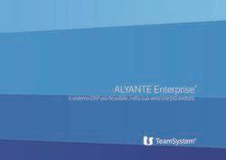 Alyante Enterprise Il Sistema Erp Pi Flessibile Nella Sua Versione