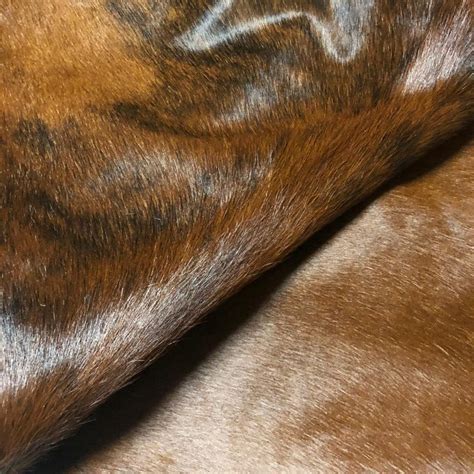 Cowhide Leather Sheets Dark Brindle Hair On Hide Cowhide Etsy